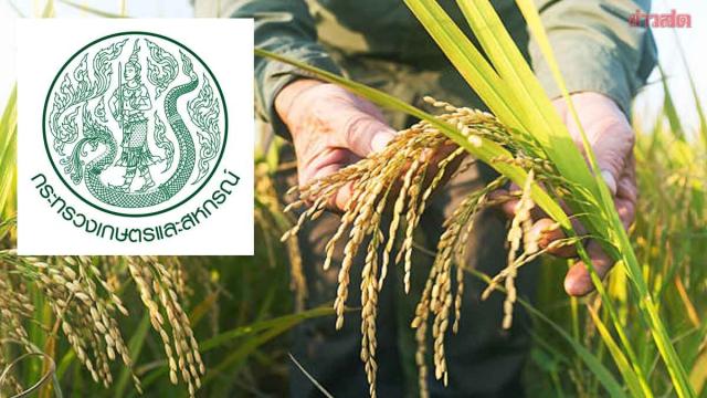 Thai Ministry of Agriculture Clarifies Stance on UPOV and Plant Variety Protection