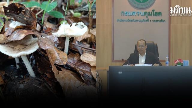 Health Officials Warn of Mushroom Poisoning Risks in Lower Northeastern Thailand