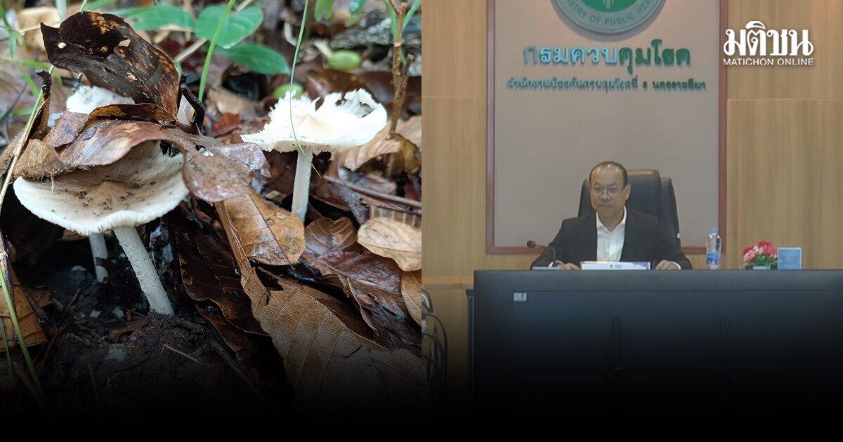 Health Officials Warn of Mushroom Poisoning Risks in Lower Northeastern Thailand