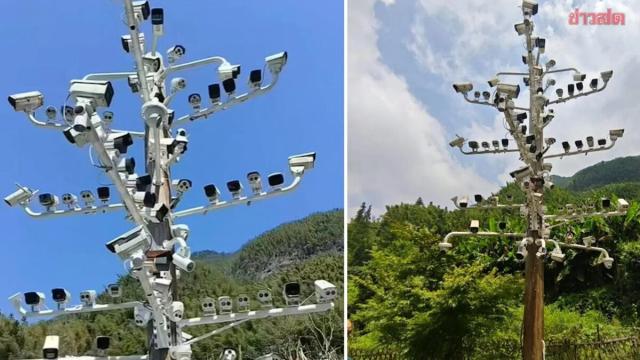 Viral '84-Camera Pole' in Chinese Village Becomes Unexpected Tourist Attraction