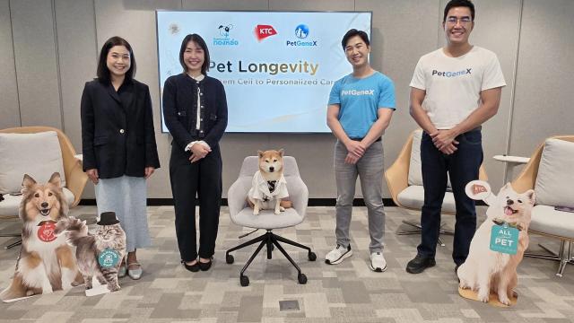 Pet Healthcare Spending in Thailand Rises by 15%