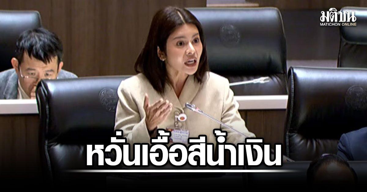 Bedenken bezüglich des Budgets für das Songkhla-See-Modell
