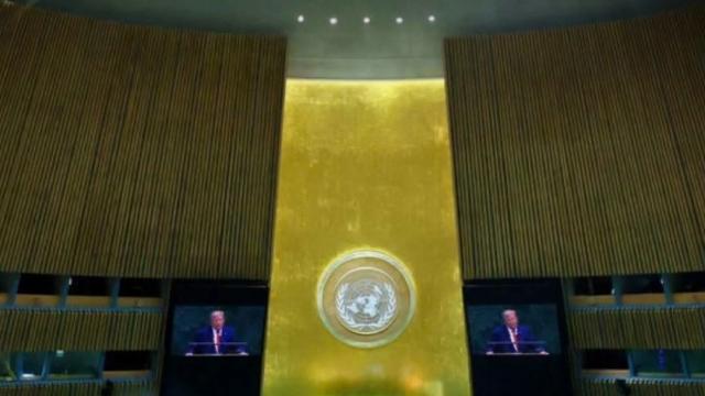 Data Analyst Highlights Deepening Global Polarization at UNGA81