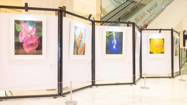 Siam Takashimaya accueille l'exposition d'art 'Flower & Friend'