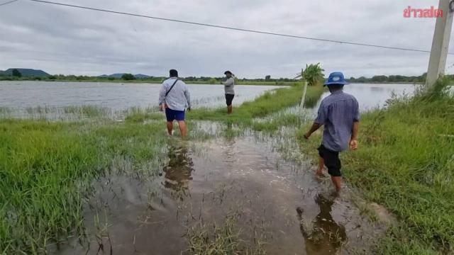 Farmers in Ratchaburi Face Financial Ruin Following Severe Flooding