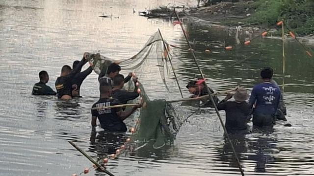 Thai Department of Fisheries Issues New Guidelines for Blackchin Tilapia Eradication