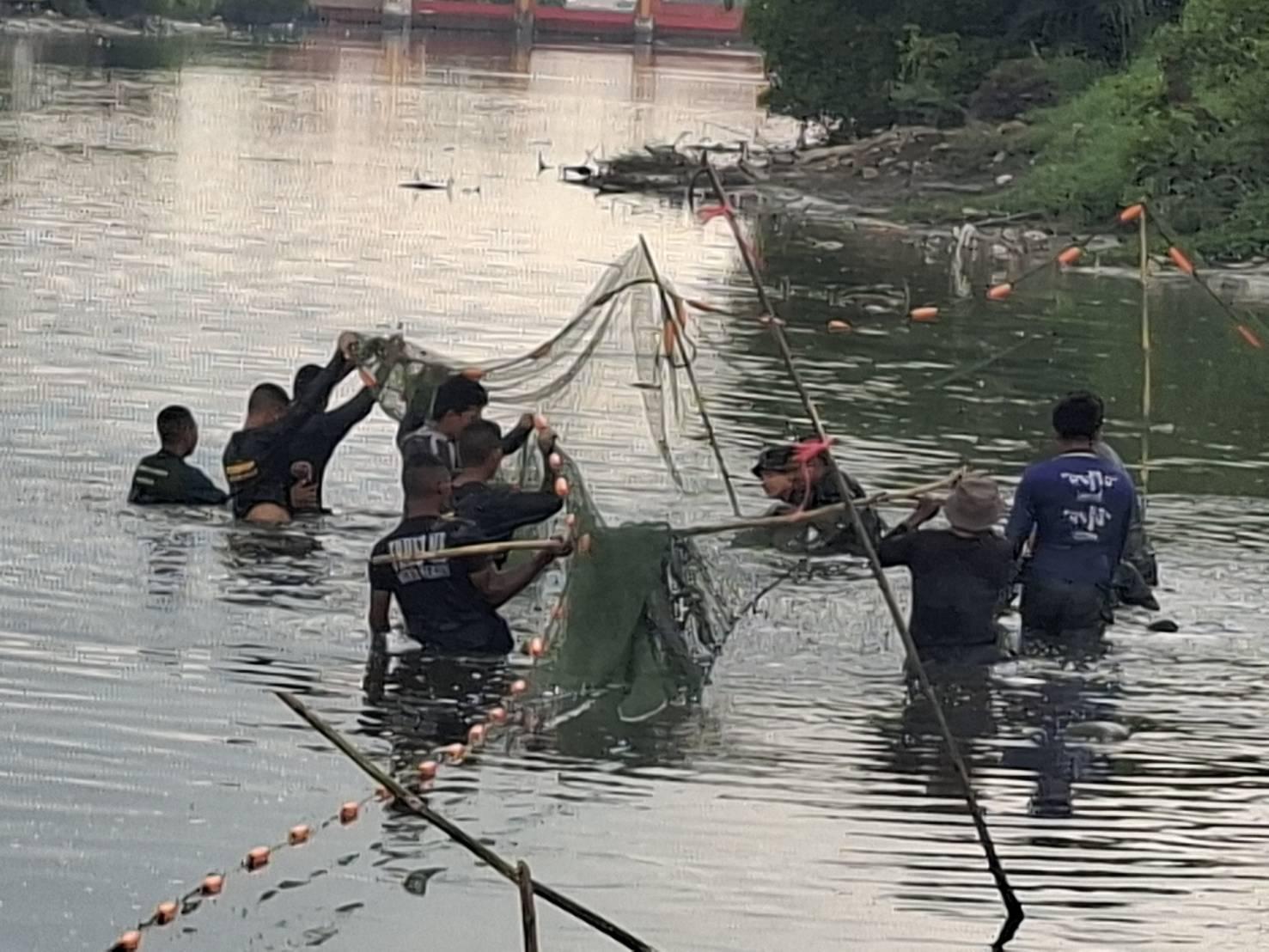 Thai Department of Fisheries Issues New Guidelines for Blackchin Tilapia Eradication