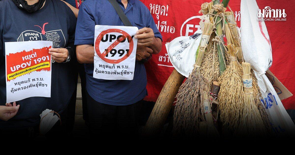 Civil Society Groups Oppose Thailand's Potential UPOV 1991 Accession
