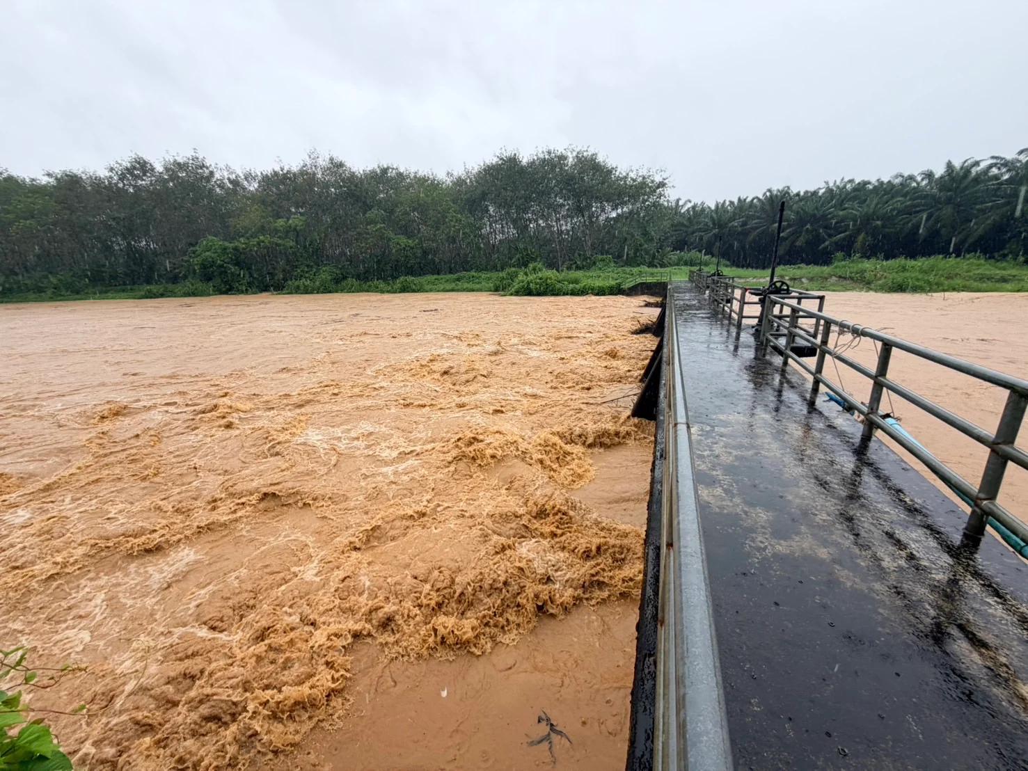 Heavy Rainfall and Flash Floods Impact Trat Province
