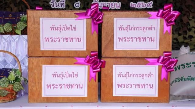 Royal Vegetable Seeds and Livestock Presented to Injured Ranger's Family