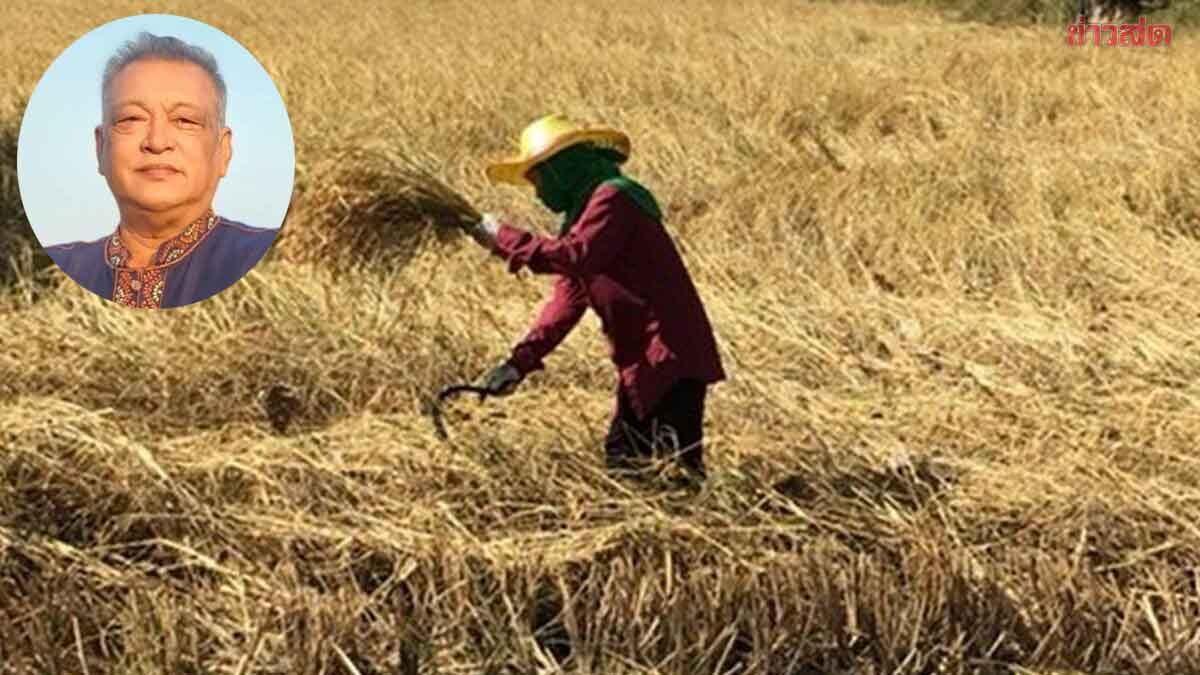Thai Farmers Association Opposes Proposed Plant Variety Protection Act Amendments