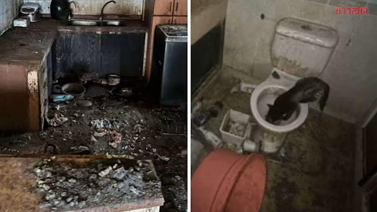 Singaporean Man Sentenced for Abandoning 71 Cats