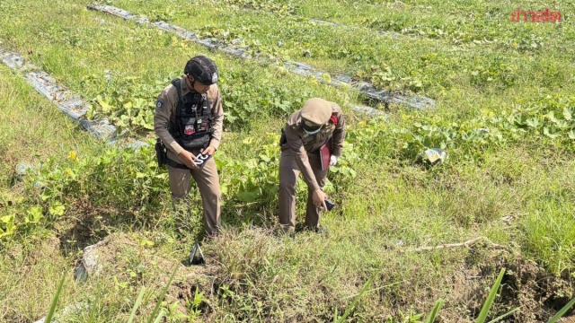 Man Arrested for Fatal Attack Over Stolen Pumpkins in Chiang Mai