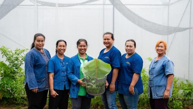 Une initiative d'énergie solaire stimule l'agriculture à Udon Thani
