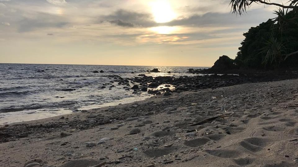 Paradise Beach & Shallow Coral Reefs