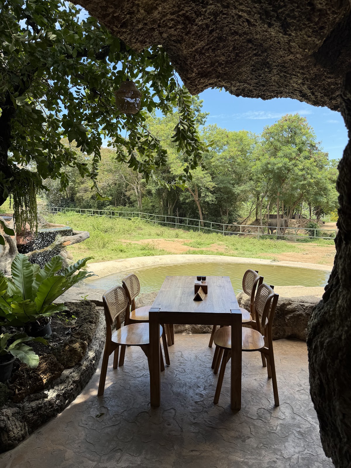 Photo Gallery — Haven Elephant Café & Restaurant