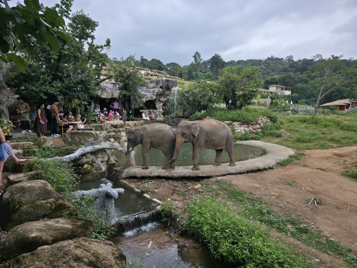 Photo Gallery — Haven Elephant Café & Restaurant