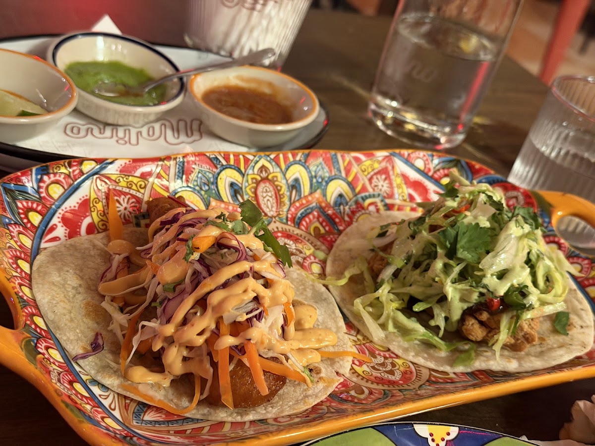 Photo Gallery — Molino Bangkok
