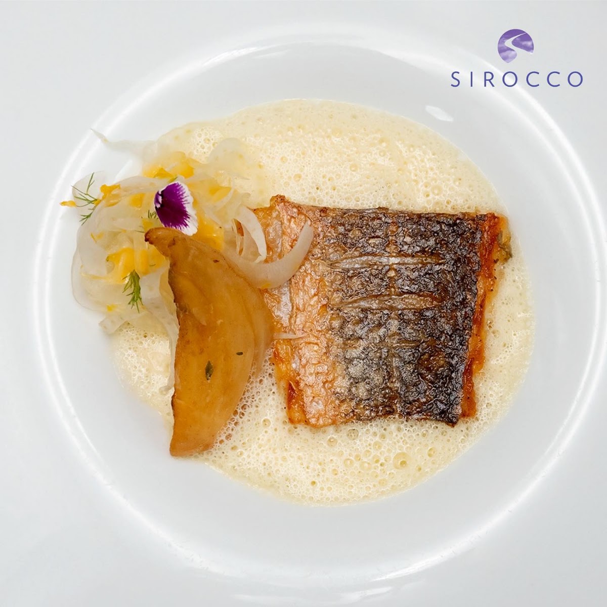 Photo Gallery — Sirocco