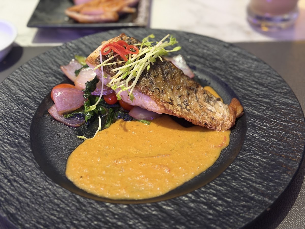 Photo Gallery — Sola Luna Rooftop Restaurant