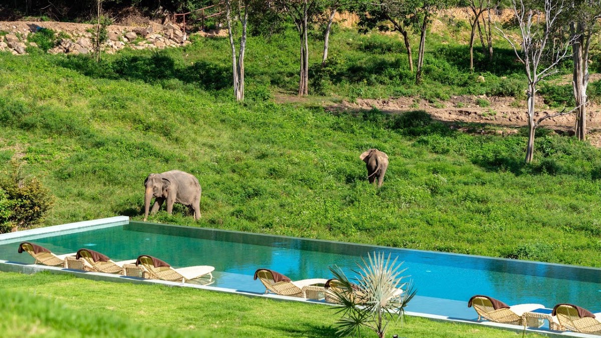 แกลเลอรีรูปภาพ — Wild Child Organic Kitchen & Elephant Sanctuary Experience