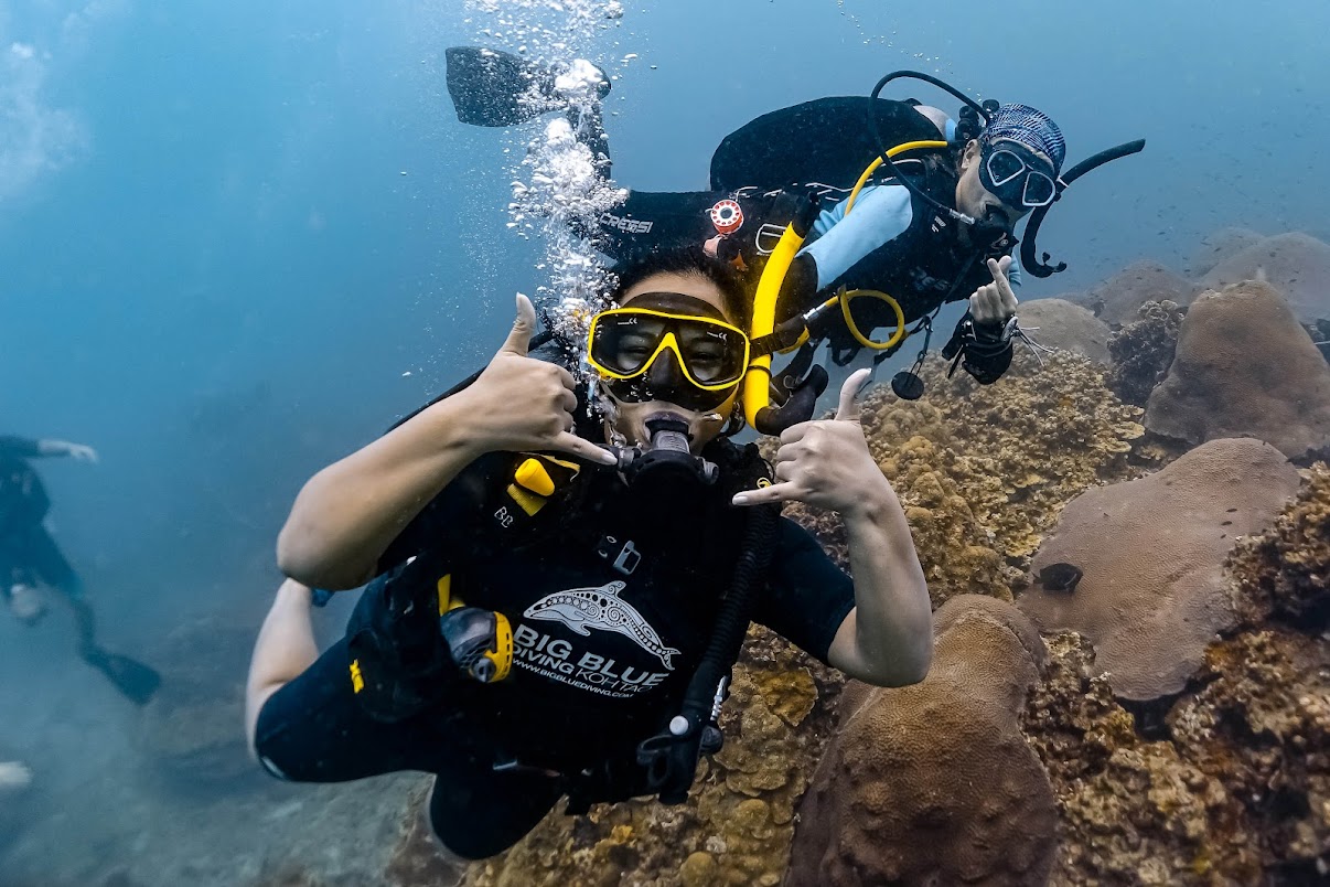 Big Blue Diving Koh Tao