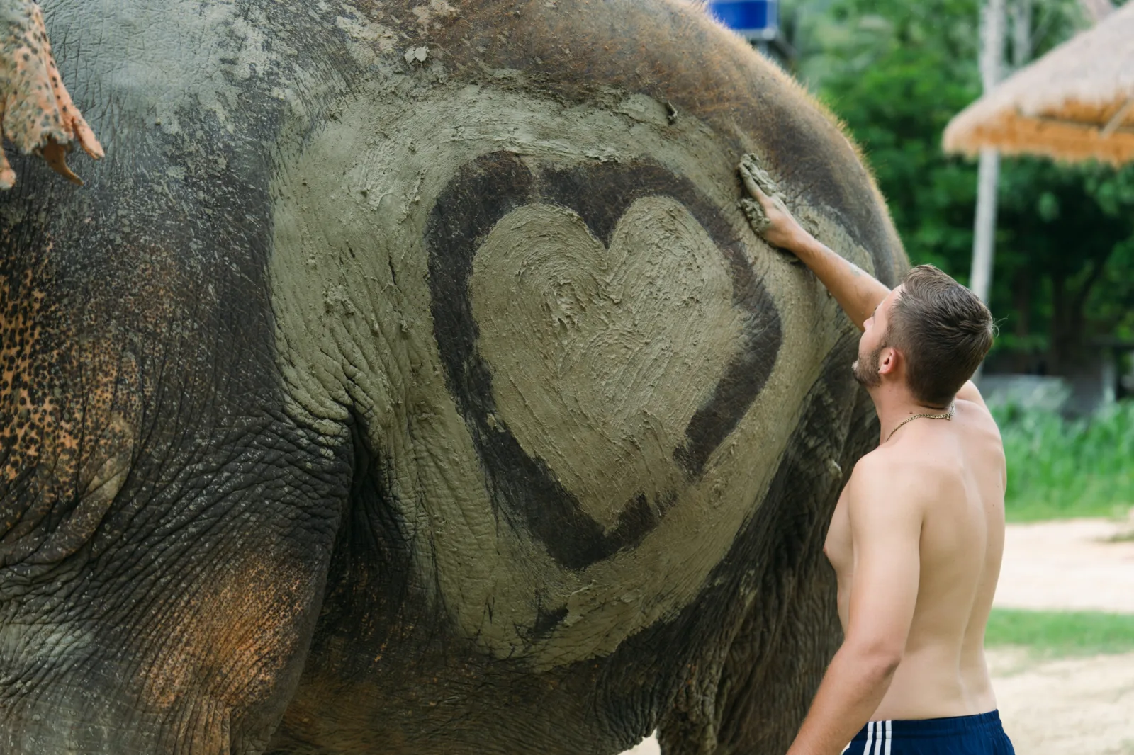 Photo gallery — Ao Nang Elephant Sanctuary