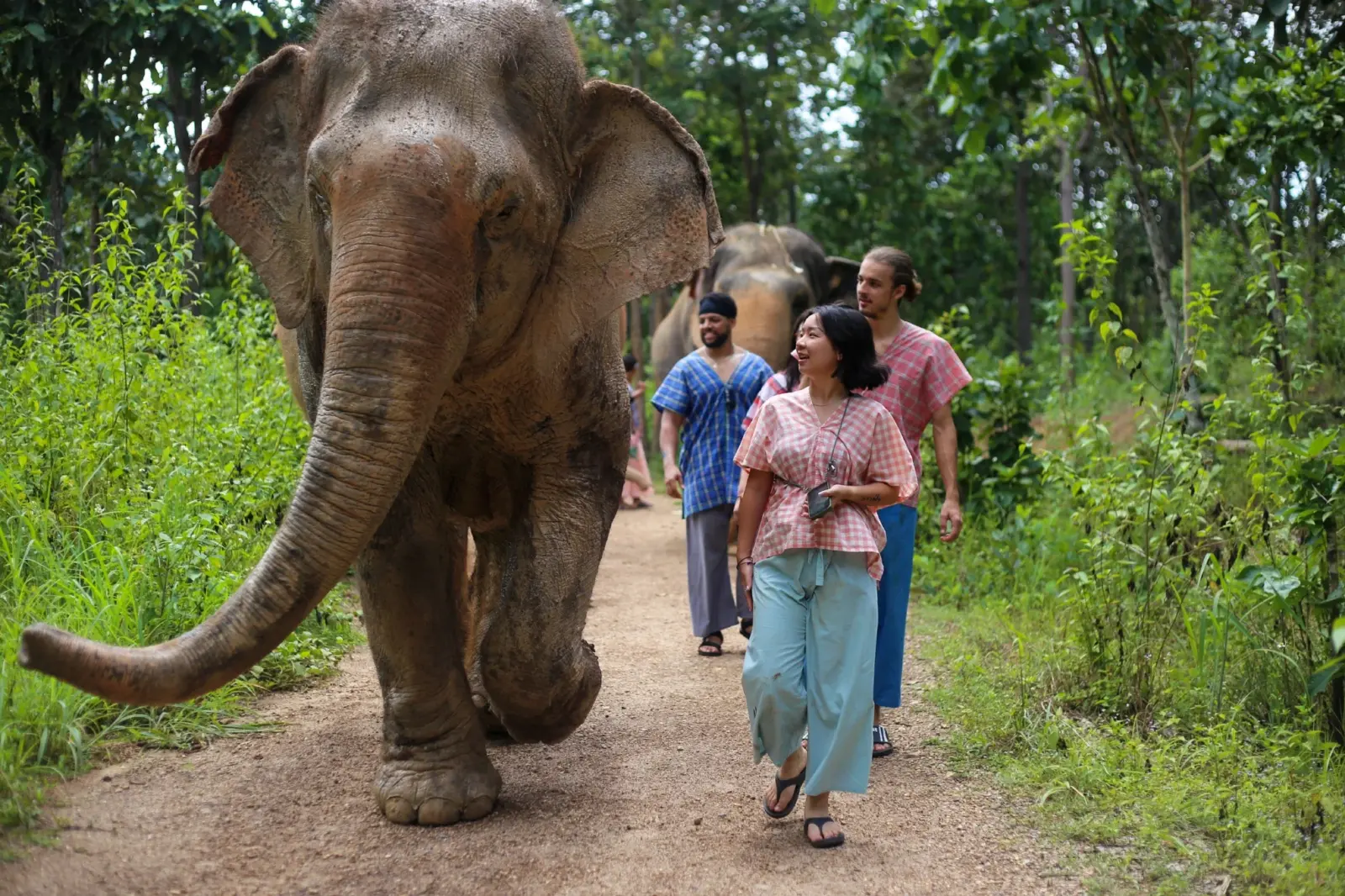 Photo gallery — Maerim Elephant Sanctuary