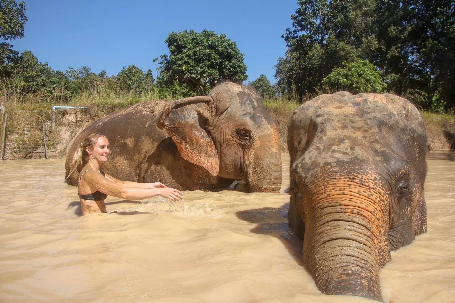Photo gallery — Maerim Elephant Sanctuary