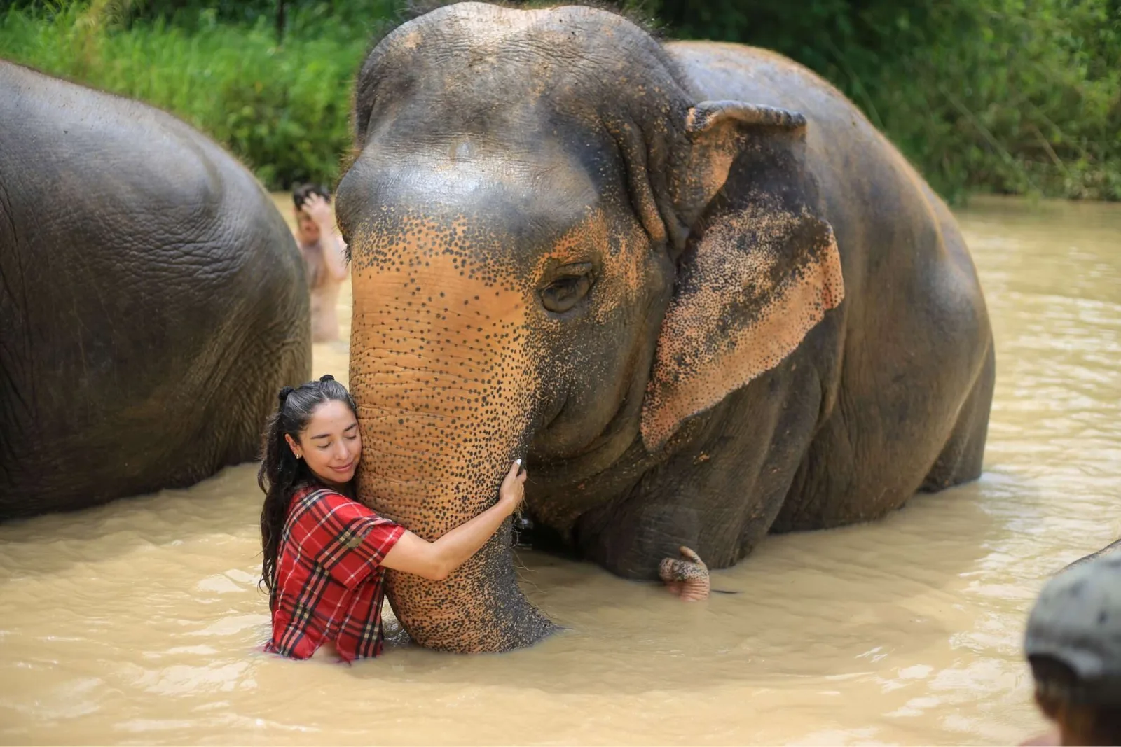 Photo gallery — Maerim Elephant Sanctuary