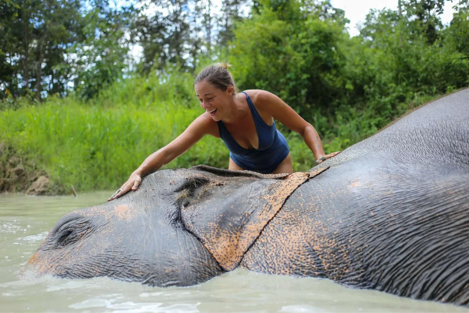 Photo gallery — Maerim Elephant Sanctuary