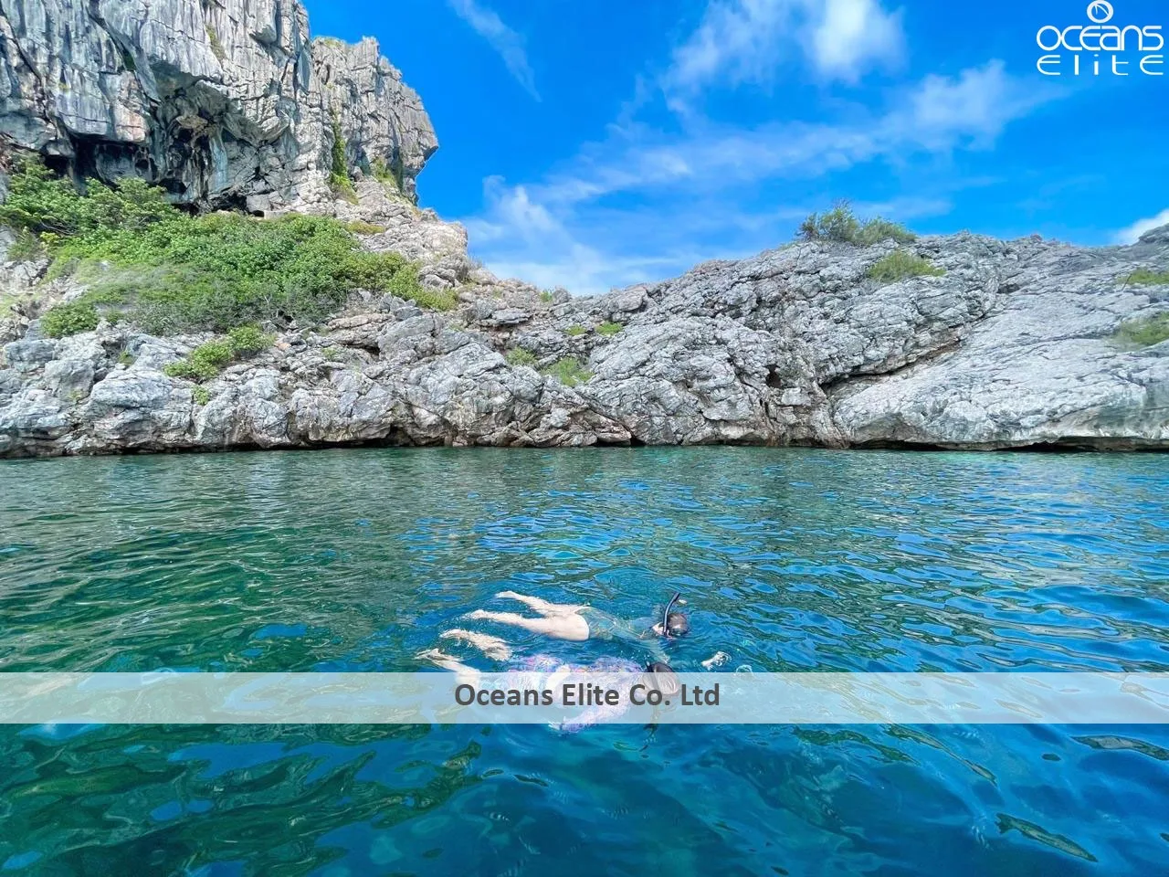 Photo gallery — Oceans Elite Charters