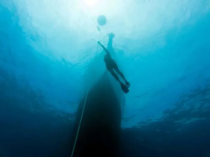 Photo gallery — SSS Phuket Dive & Freediving