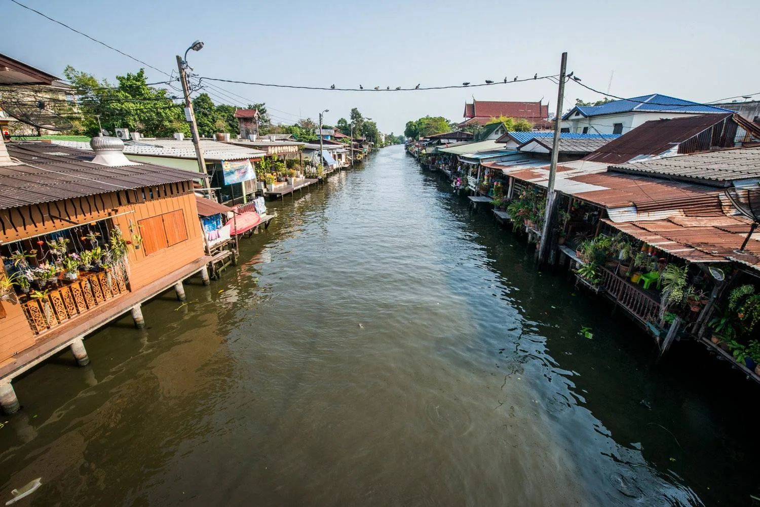 Photo gallery — Thai Canal Tours